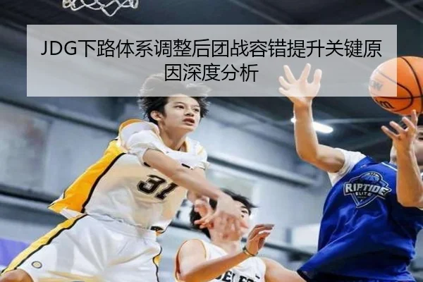 JDG下路体系调整后团战容错提升关键原因深度分析